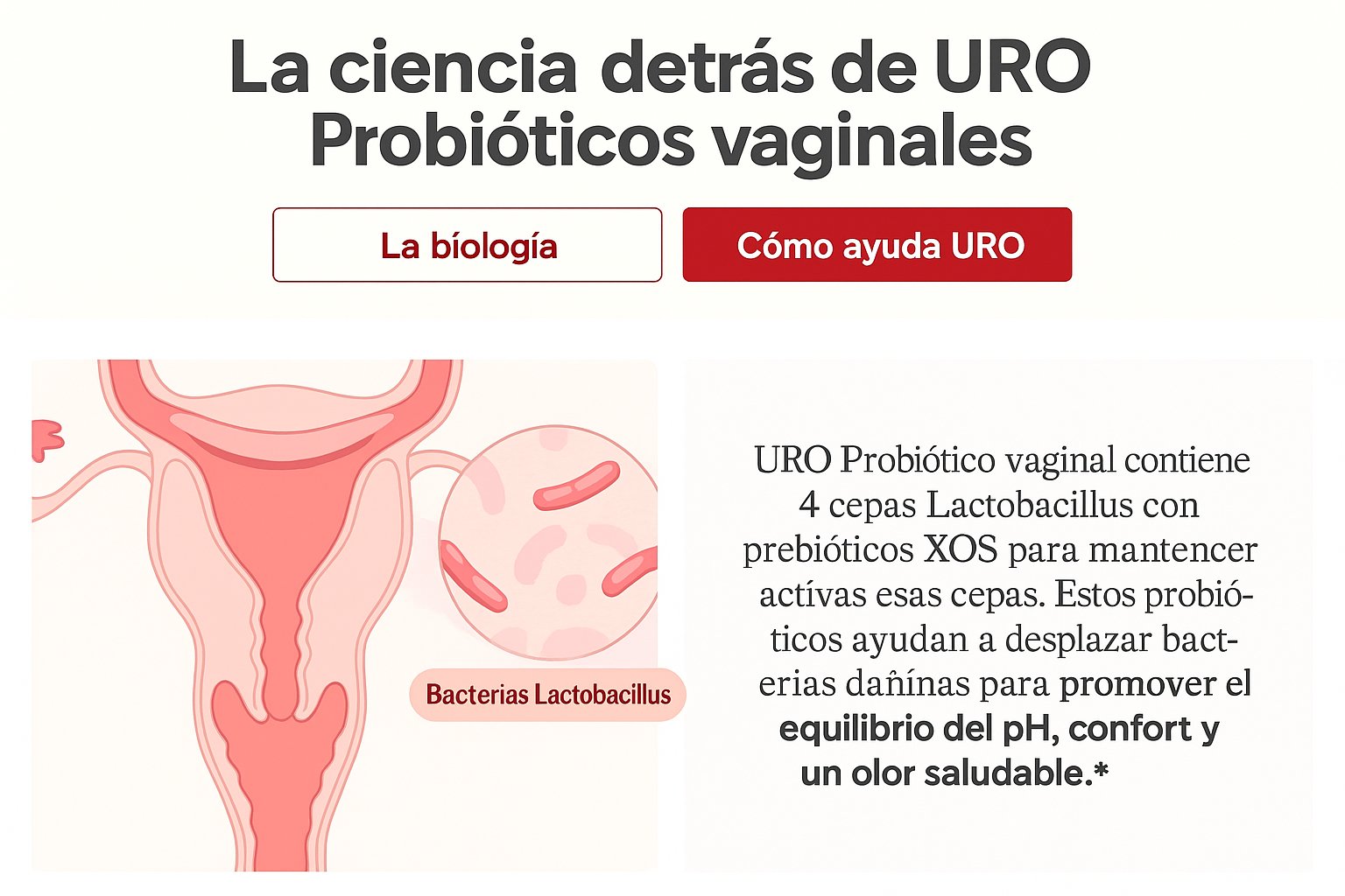 URO PREMIUM VAGINAL PROBIOTICS - Presentación impresa - Image 6